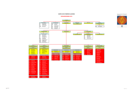 Visualizza organigramma completo