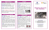 principali malattie del cinghiale