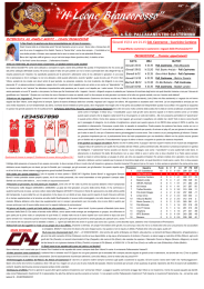 Nr3-Novembre 2012 - Pallacanestro Castronno