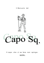 Il_Manuale_del_capo_sq