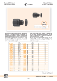 E229161 Raccordi PA6 UL94 maschi diritti (IP66) Fittings PA6 UL94