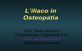 Diapositiva 1 - Nuova Scuola di Osteopatia Treviso