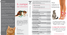 6 zampe - Fidomicio - Provincia di Ancona