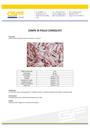 ZAMPE DI POLLO CONGELATE