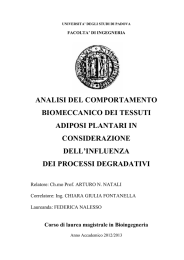 analisi del comportamento biomeccanico dei tessuti adiposi plantari