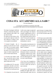 COSA STA ACCADENDO ALLA SABI? di Cesare Manganelli