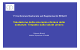 Valutazione della sicurezza chimica delle sostanze: l`impatto sulla