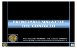 PRINCIPALI MALATTIE DEL CONIGLIO