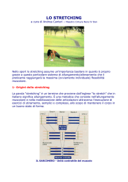 lo stretching - Sport e Medicina