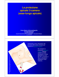 La proiezione apicale 3-camere (asse-lungo apicale)
