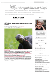 Ibis abbattuti: cacciato... - Blog - Repubblica.it