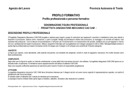 ProgettistaDisegnatoreMeccanicoCadCam02072011 NON SPEDITO