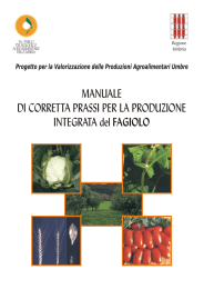 MANUALE DI CORRETTA PRASSI PER LA PRODUZIONE