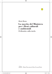 La nascita del Ministero per i Beni culturali e ambientali. Il dibattito