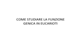 COME STUDIARE LA FUNZIONE GENICA IN EUCARIOTI