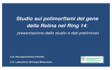 Studio sui polimorfismi del gene della Relina nel Ring 14: