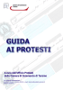 Guida ai protesti - Camere di Commercio