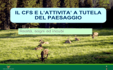 Il CFS e l`attività a tutela del paesaggio. Realtà, sogni ed incubi