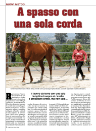 A spasso con una sola corda