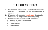 Biochimica II Fluorescenza