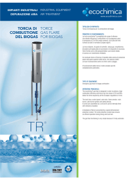 TORCIA DI COMBUSTIONE DEL BIOGAS TORCE GAS FLARE FOR