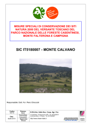 monte calvano - Parco Nazionale delle Foreste Casentinesi