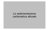 La sedimentazione carbonatica attuale