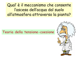 lezione gruppo 5 teoria della tensione coesione 12