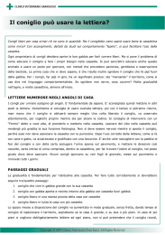 Lettiera del coniglio - Clinica Veterinaria Gran Sasso