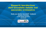 Reperti borderline dell`encefalo fetale nel secondo trimestre