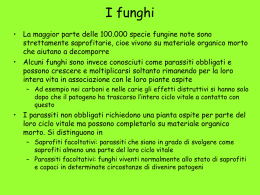 I funghi - Biotecnologie