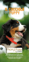 IL CUCCIOLO PUPPY