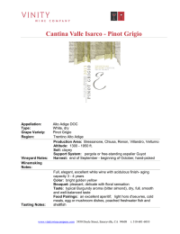 Cantina Valle Isarco - Pinot Grigio