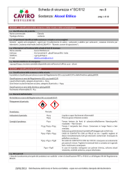 Scheda di sicurezza n&deg; SC/012 Sostanza: Alcool Etilico