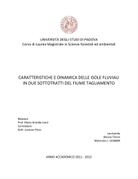 CARATTERISTICHE E DINAMICA DELLE ISOLE FLUVIALI IN DUE