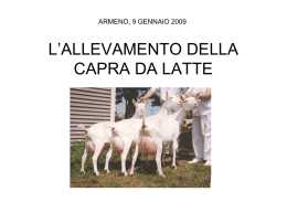 l™allevamento della capra da latte