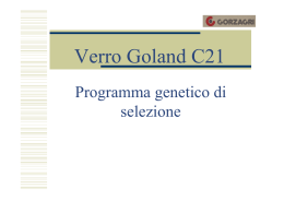 Verro Goland C21 - Gruppo Veterinario Suinicolo Mantovano