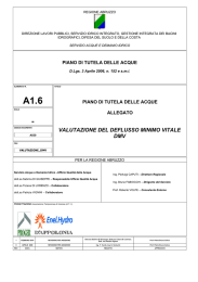 valutazione del deflusso minimo vitale dmv