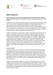 Abile scavatrice - Anno internazionale dei suoli