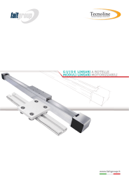 MODULI LINEARI MOTORIZZABILI G U I D E LINEARI A ROTELLE