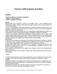 il lavoro nelle imprese di pulizie