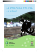 colonia felina - Provincia di Milano