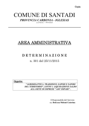 Determinazione del Responsabile dell`Area