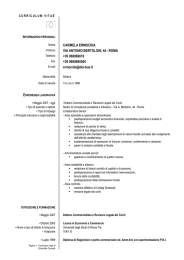 curriculum vitae Carmen Europeo