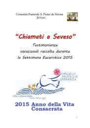 “Chiamati a Seveso”