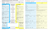 Scarica il Modulo BLU in formato PDF