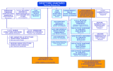 Organizzazione-Sanitaria-articolazione-