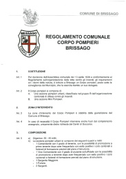 REGOLAMENTO COMUNALE CORPO POMPIERI BRISSAGO