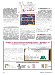 Progetto di piccola cantina per una produzione inferiore a 10 ettolitri