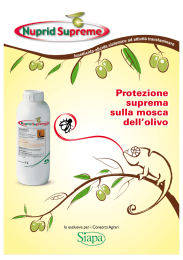 Protezione suprema sulla mosca dell`olivo